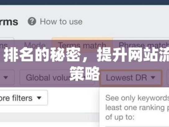谷歌 SEO 排名的秘密，提升网站流量的关键策略