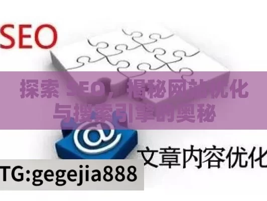 探索 SEO，揭秘网站优化与搜索引擎的奥秘