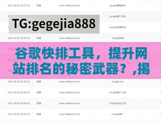 谷歌快排工具，提升网站排名的秘密武器？,揭秘谷歌快排工具的奥秘