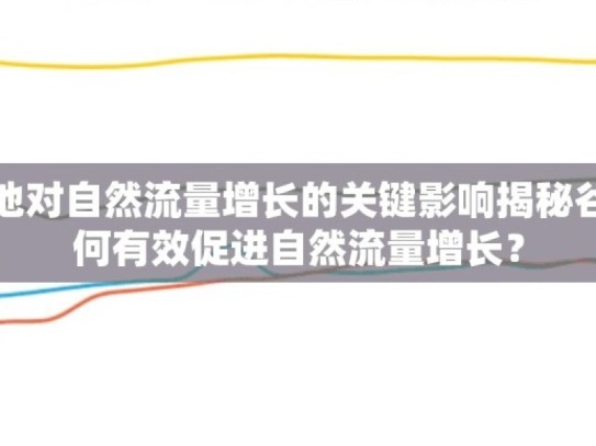 探究谷歌蜘蛛池对自然流量增长的关键影响揭秘谷歌蜘蛛池，如何有效促进自然流量增长？