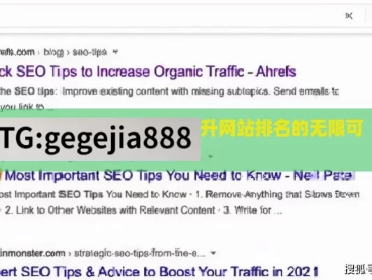 探索谷歌 SEO 服务，提升网站排名的无限可能