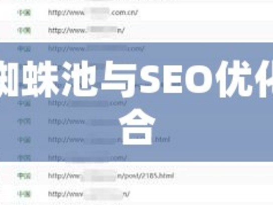 探索谷歌蜘蛛池与SEO优化的完美融合