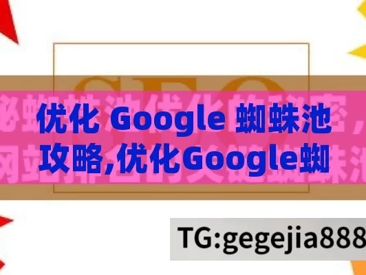 优化 Google 蜘蛛池攻略,优化Google蜘蛛池提升网站排名