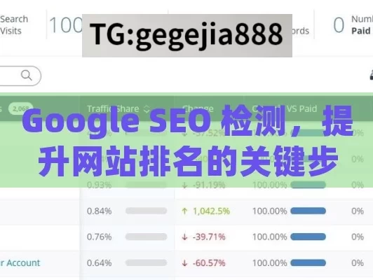 Google SEO 检测，提升网站排名的关键步骤,掌握Google SEO检测，提升网站排名的关键