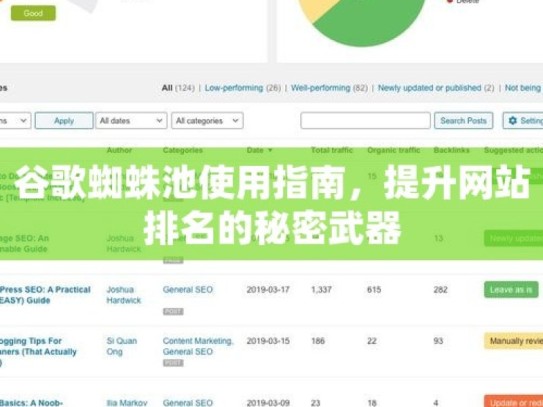 谷歌蜘蛛池使用指南，提升网站排名的秘密武器