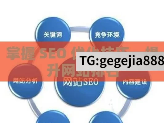 掌握 SEO 优化技巧，提升网站排名