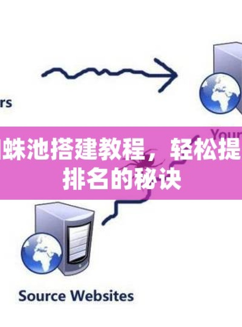 谷歌蜘蛛池搭建教程，轻松提升网站排名的秘诀 - 