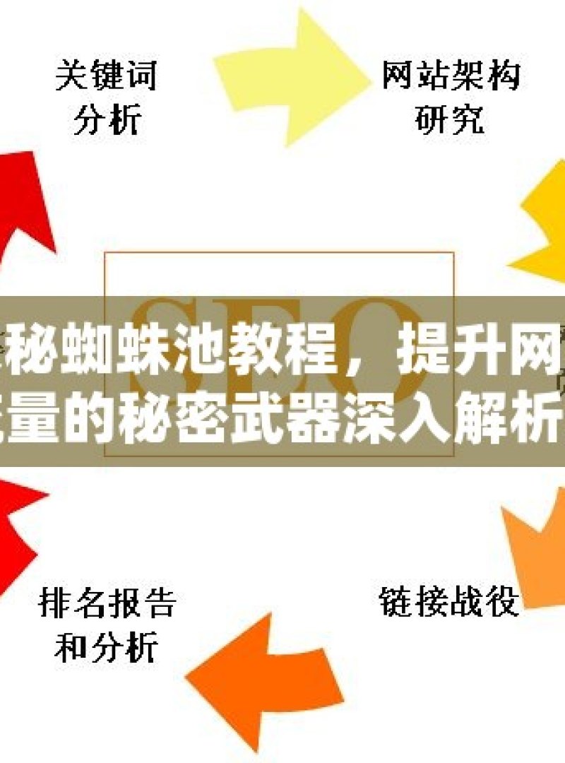 探秘蜘蛛池教程，提升网站流量的秘密武器深入解析蜘蛛池搭建教程，提升网站SEO效果的必备工具 - 