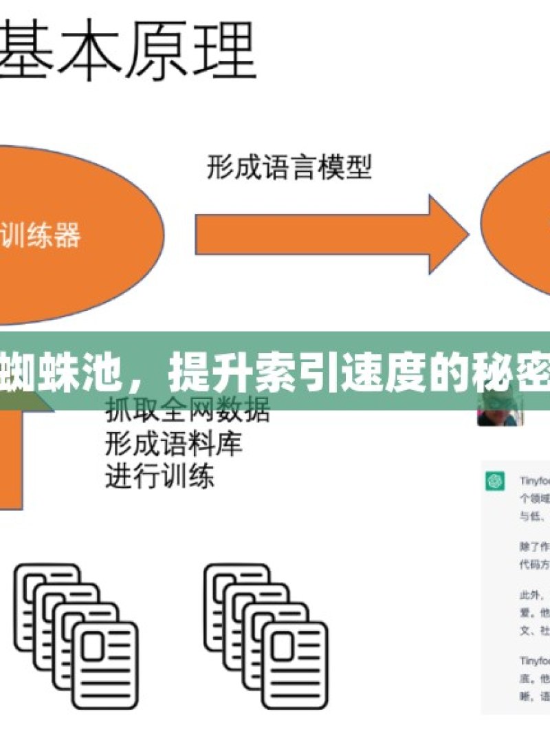 谷歌蜘蛛池，提升索引速度的秘密武器 - 