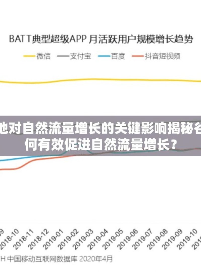 探究谷歌蜘蛛池对自然流量增长的关键影响揭秘谷歌蜘蛛池，如何有效促进自然流量增长？