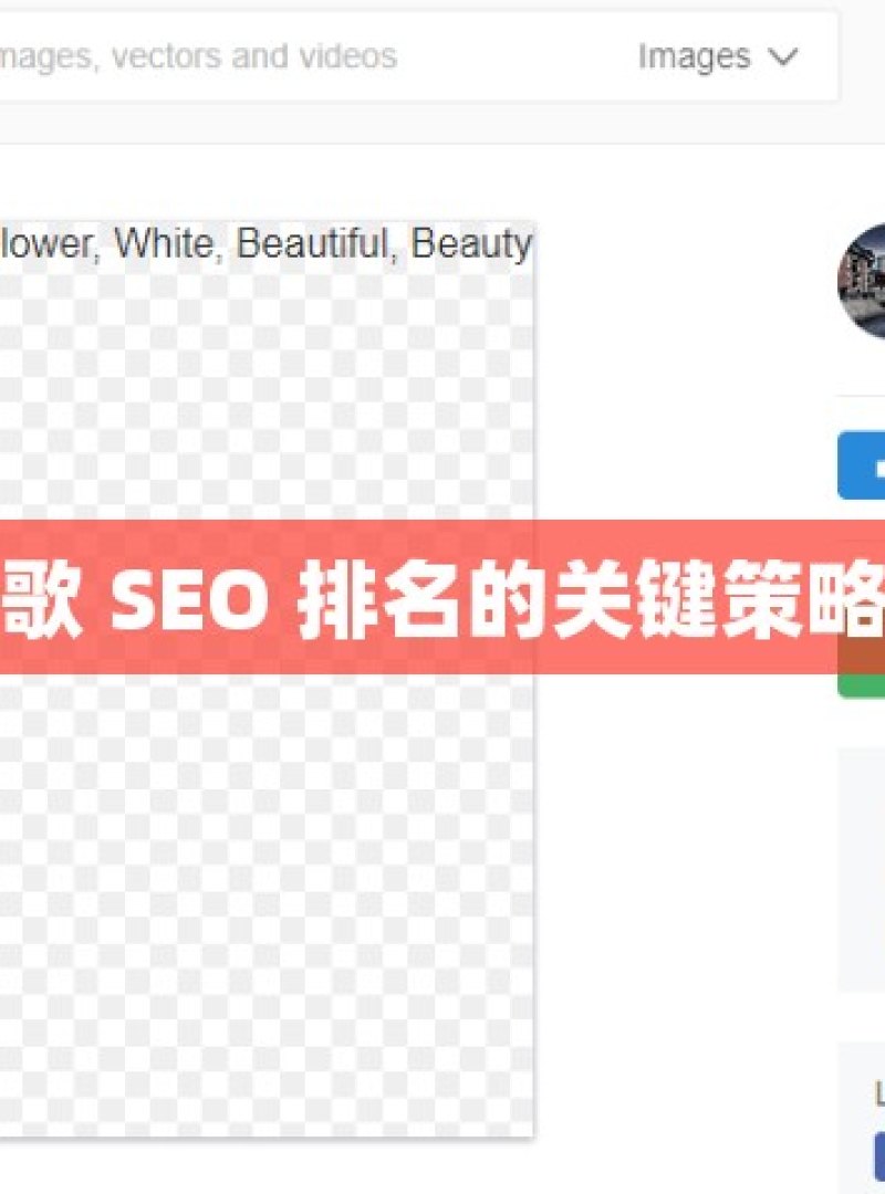 提升谷歌 SEO 排名的关键策略与技巧