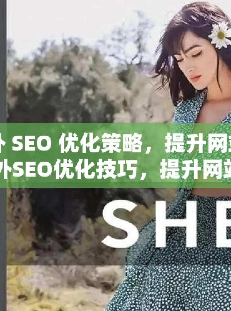 掌握谷歌站外 SEO 优化策略，提升网站排名与流量掌握谷歌站外SEO优化技巧，提升网站流量与排名