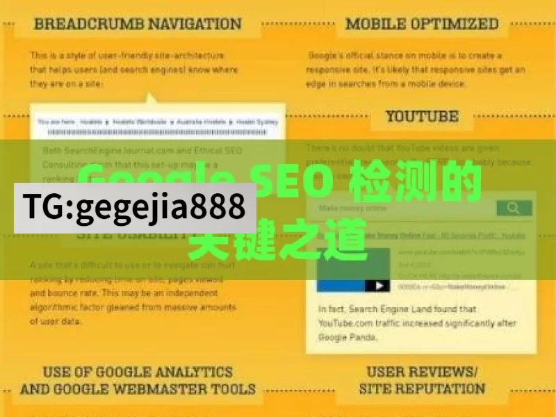 Google SEO 检测的关键之道