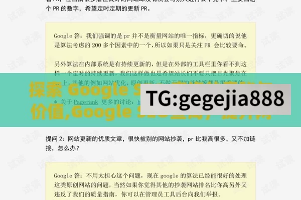 探索 Google SEO 查询的奥秘与价值,Google SEO查询，提升网站排名的关键步骤