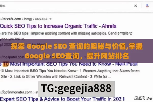 探索 Google SEO 查询的奥秘与价值,掌握Google SEO查询，提升网站排名