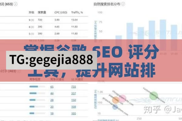 掌握谷歌 SEO 评分工具，提升网站排名,谷歌SEO评分工具使用指南，提升网站排名的秘籍