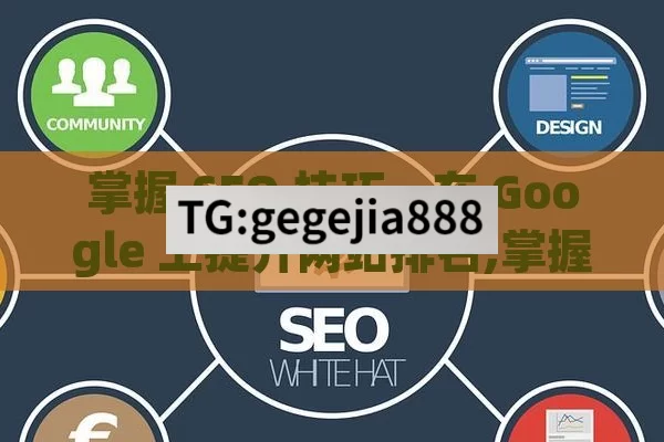 掌握 SEO 技巧，在 Google 上提升网站排名,掌握Google SEO的艺术