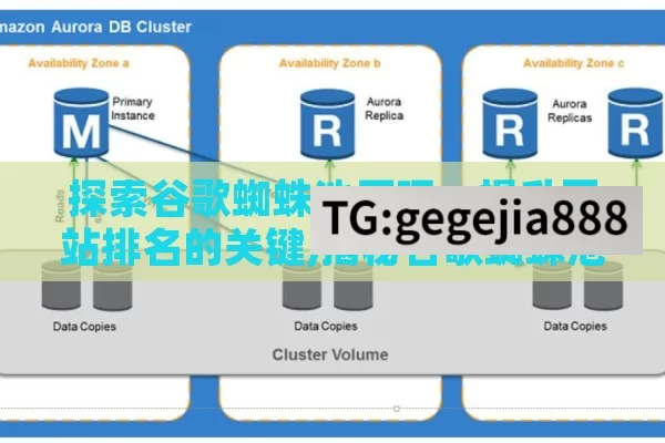 探索谷歌蜘蛛池原理，提升网站排名的关键,揭秘谷歌蜘蛛池原理