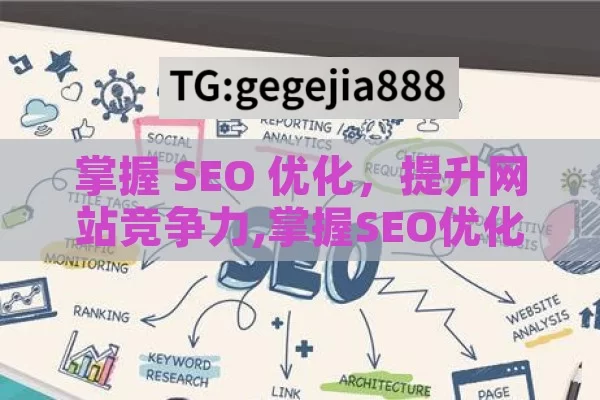 掌握 SEO 优化，提升网站竞争力,掌握SEO优化，开启网站成功之门