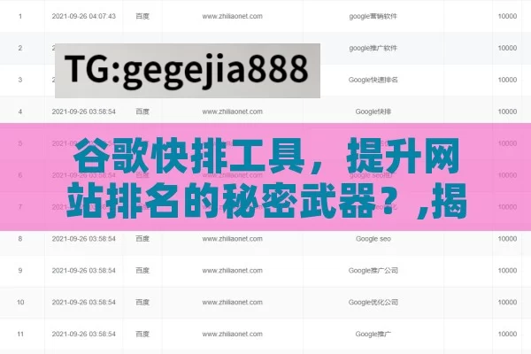 谷歌快排工具，提升网站排名的秘密武器？,揭秘谷歌快排工具的奥秘
