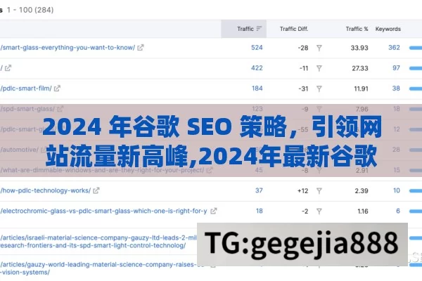 2024 年谷歌 SEO 策略，引领网站流量新高峰,2024年最新谷歌SEO策略