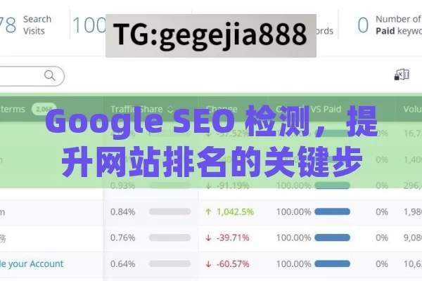 Google SEO 检测，提升网站排名的关键步骤,掌握Google SEO检测，提升网站排名的关键