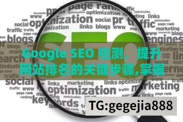 Google SEO 检测，提升网站排名的关键步骤,掌握Google SEO检测，提升网站排名的关键