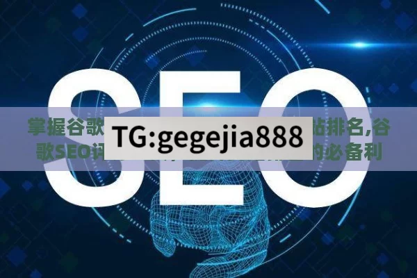 掌握谷歌 SEO 评分工具，提升网站排名,谷歌SEO评分工具，提升网站排名的必备利器