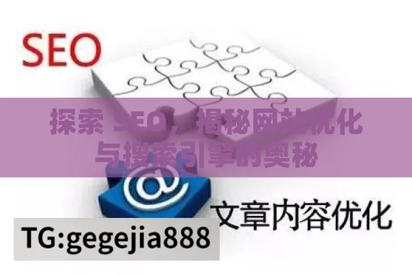 探索 SEO，揭秘网站优化与搜索引擎的奥秘