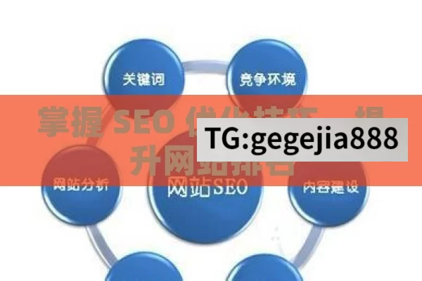 掌握 SEO 优化技巧，提升网站排名