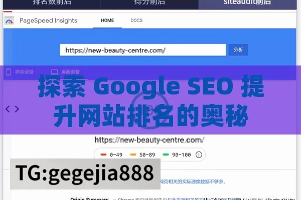 探索 Google SEO 提升网站排名的奥秘